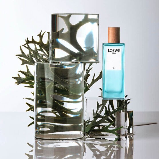 LOEWE      AGUA HOMME    EDT  100ML